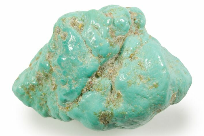 Polished Chilean Turquoise ( grams) Nugget #373199